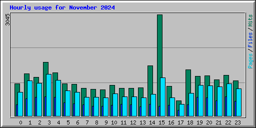 Hourly usage for November 2024