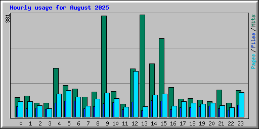 Hourly usage for August 2025